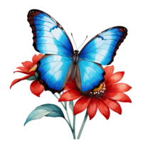 Watercolor Clipart Beautiful Blue Morpho Butterfly on Red Flower png