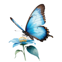 Watercolor Clipart Blue Morpho Butterfly on Blue Flower png