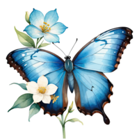 Watercolor Clipart Blue Morpho Butterfly on Blue Flower png