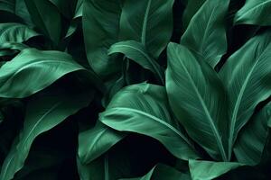 AI generated green leaf texture, dark green foliage nature background, tropical leaf photo