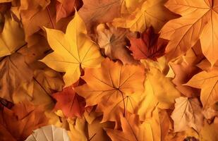 AI generated Autumn background of yellow and red maple leaves on the ground photo