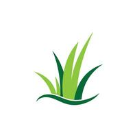 Grass logo vector template