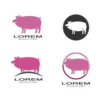 pig logo vector template