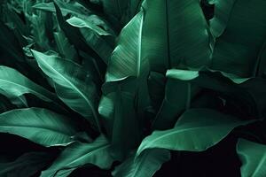 AI generated green leaf texture, dark green foliage nature background, tropical leaf photo