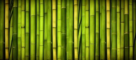 ai generado natural verde bambú antecedentes. foto