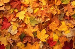 AI generated Autumn background of yellow and red maple leaves on the ground photo