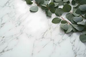 AI generated Branches of eucalyptus leaves on a marble background photo