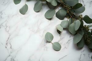 ai generado ramas de eucalipto hojas en un mármol antecedentes foto