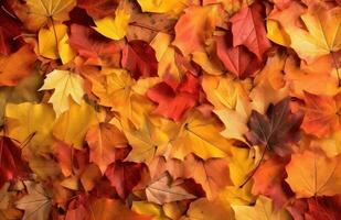 AI generated Autumn background of yellow and red maple leaves on the ground photo
