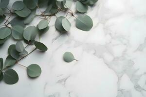 AI generated Branches of eucalyptus leaves on a marble background photo