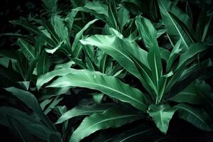 AI generated green leaf texture, dark green foliage nature background, tropical leaf photo