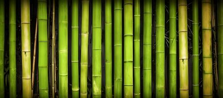 AI generated Natural green bamboo background. photo