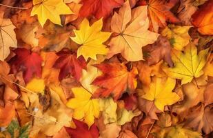 AI generated Autumn background of yellow and red maple leaves on the ground photo