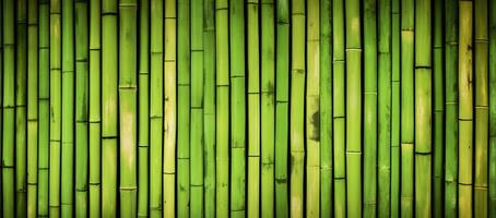 AI generated Natural green bamboo background. photo