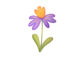 mignonne aquarelle fleur avec Jaune et violet pétales sur transparent Contexte. été et printemps aquarelles narcisse. salutation carte clipart png