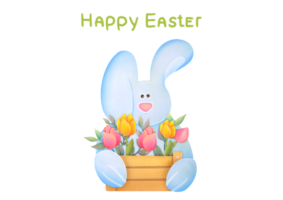 Cute Easter bunny with basket of flowers, Easter colored eggs. children s watercolor illustration on transparent background. Happy Easter Greeting card with spring flowers, funny bunny png