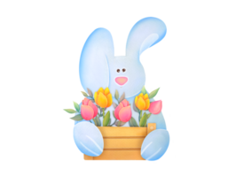 Cute Easter bunny with basket of flowers, Easter colored eggs. children s watercolor illustration on transparent background. Happy Easter Greeting card with spring flowers, funny bunny png