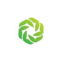 Ecology logo hexagon leaf twisted green vector design