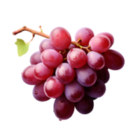 ai generado racimos de uvas en transparente antecedentes png imagen