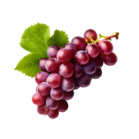 AI generated Clusters of Grapes on transparent background PNG image