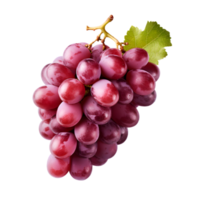 ai generado racimos de uvas en transparente antecedentes png imagen