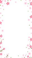 frame of blossom png