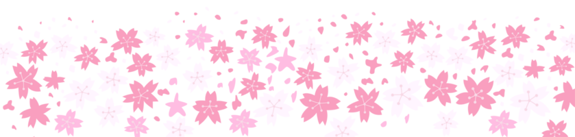 fofa Rosa Flor png