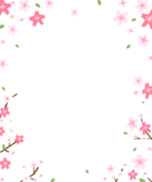 frame of blossom png