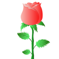 a single rose on a stem with leaves png
