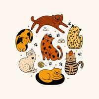 Set of 7 cats vector