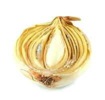 Half of a rotten onion isolated on a white background. Rotten and moldy onions. photo