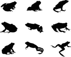 A collection of frogs in a different positions vector