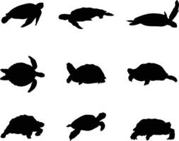 A collection of turtles for artwork compositions vector
