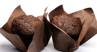 Two chocolate muffins on a white background . Muffin with chocolate chips. photo