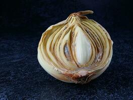 Half of a rotten onion on a dark background. Rotten and moldy onions. photo