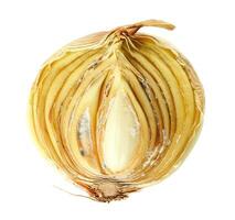 Half of a rotten onion isolated on a white background. Rotten and moldy onions. photo