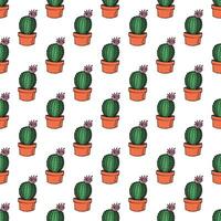 sin costura modelo con cactus garabatear para decorativo imprimir, envase papel, saludo tarjetas y tela vector