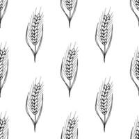 Seamless pattern with wheat doodle for decorative print, wrapping paper, greeting cards, wallpaper and fabric vector
