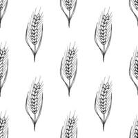 Seamless pattern with wheat doodle for decorative print, wrapping paper, greeting cards, wallpaper and fabric vector