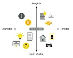 types of assets for Fungibility, Fungibility, Non-Fungibility, tangible and intangible asset vector