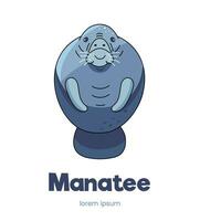 Manatee vector flat illustration of sea animal