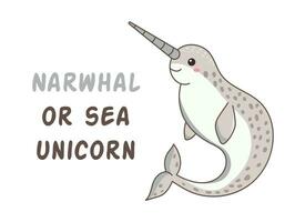 Narwhal or sea unicorn illustration of a cute sea animal, ocean inhabitant vector