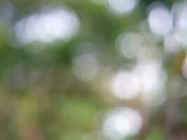 green bokeh background from nature under tree shade, defocused background, bokeh background photo