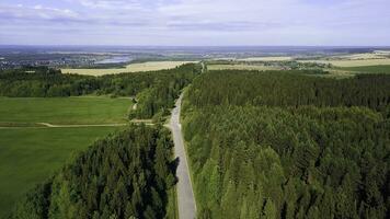 View from a helicopter. Creative. A summer green forest, a road, a small piece of the city is visible from behind, a blue sky and a river and a little small fields. photo