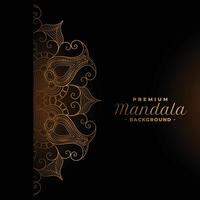 ethnic premium mandala design background vector