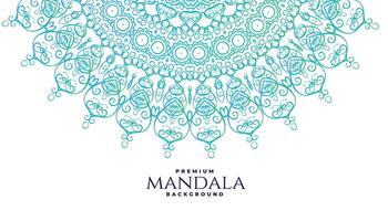 mandala decoration background in indian style vector