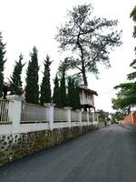 white villa fence with paved rural road and pine trees photo