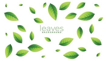 falling scattered green leaves background vector