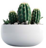 ai generato cactus pianta nel bianca pentola su trasparente sfondo png