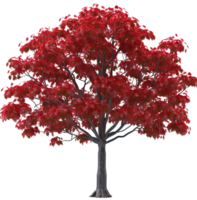 AI generated a red tree with leaves on it png